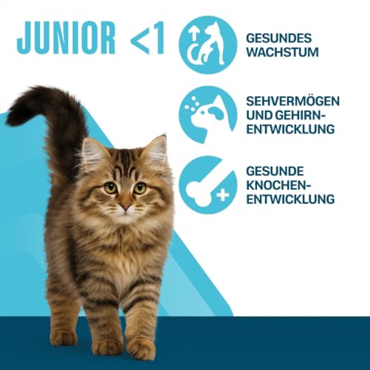 Perfect Fit Junior <1 droogvoer kat kip 7 kg – foto 6