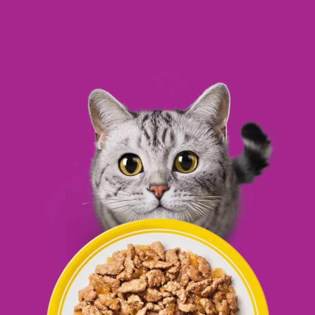 Whiskas Senior 7+ natvoer kattenvoer gemengde selectie 120 x 85 g - 3-pack