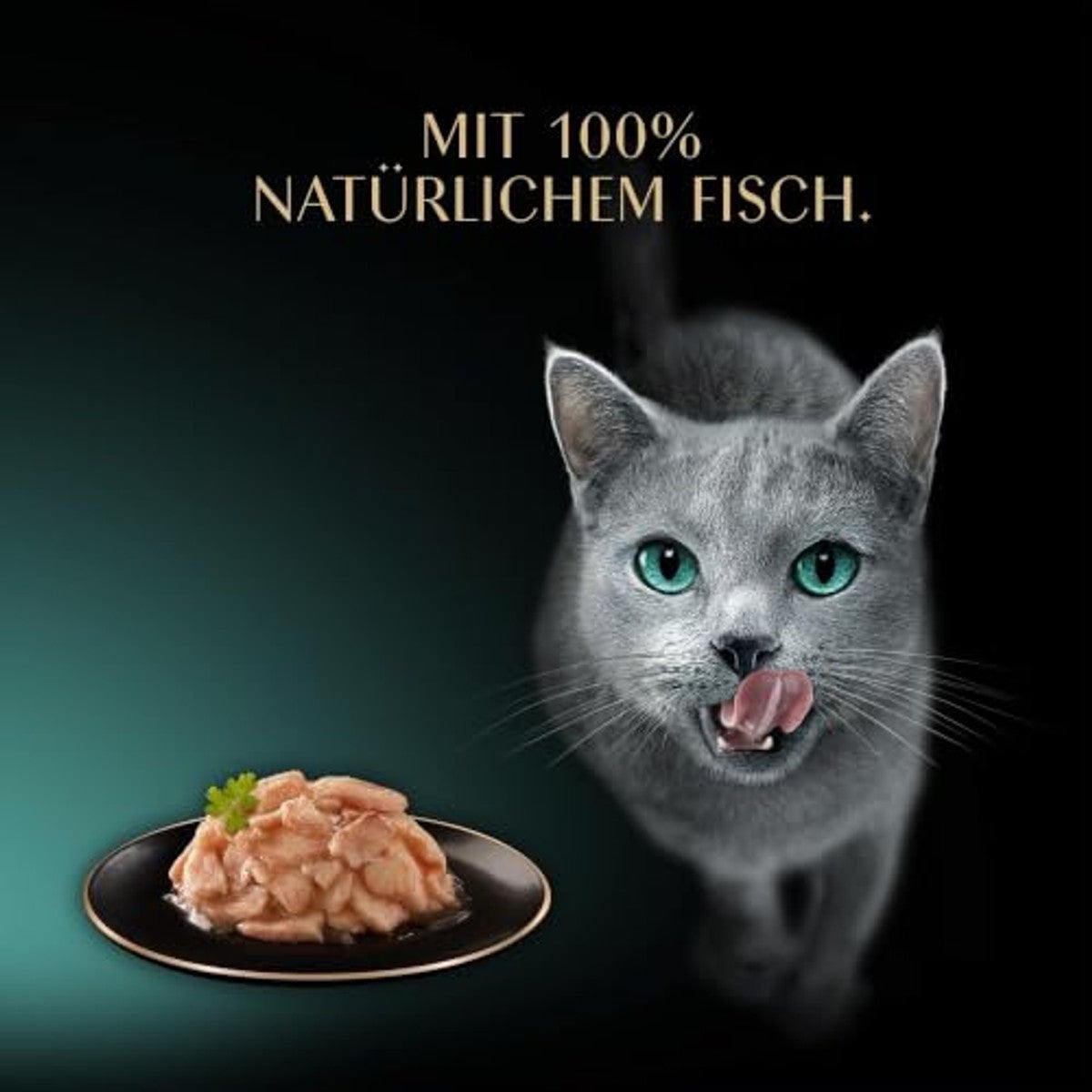 Sheba Filets natvoer kattenvoer kip, zeevis, garnalen, zalm en tonijn 36 x 60 g - 6-pack