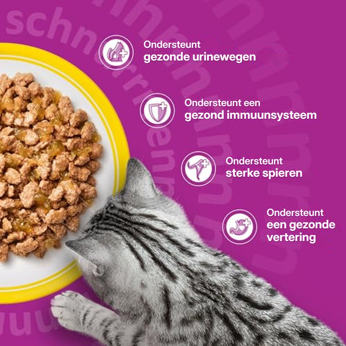 Whiskas Senior 11+ natvoer kattenvoer gevogelte 48 x 85 g – foto 6