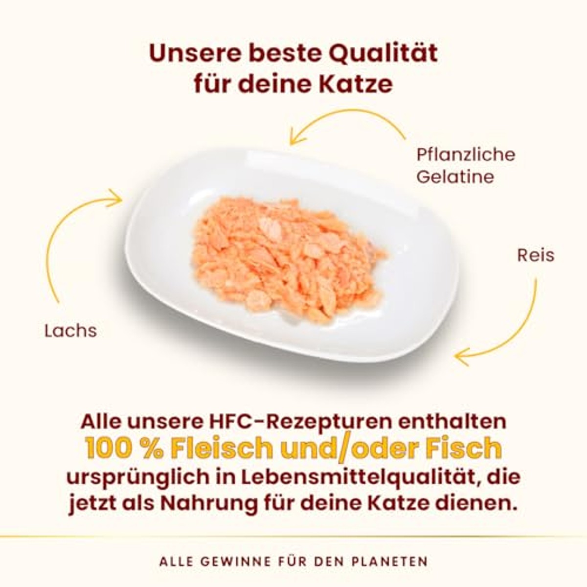 Almo Nature HFC Jelly Natvoer Zalm 6 x 70 g - 3-pack