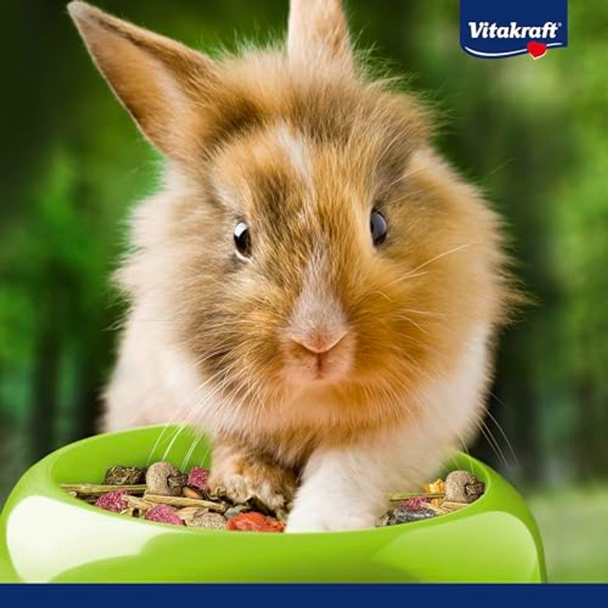 Vitakraft Voeding voor dwergkonijnen knaagdiervoer 1 kg - 3-pack