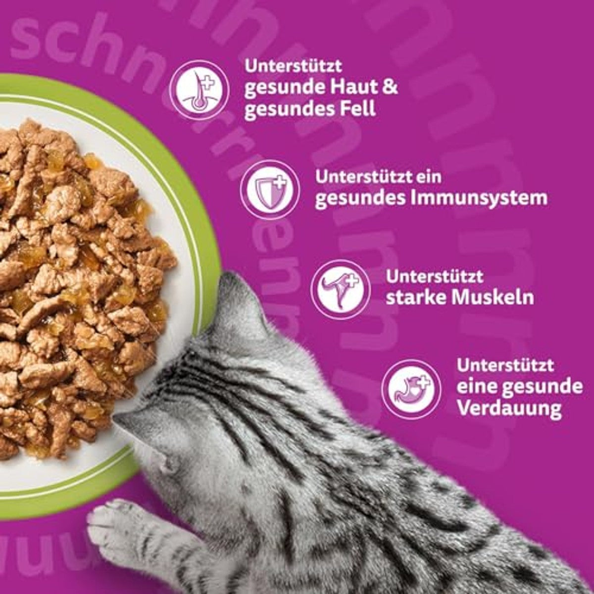 Whiskas Adult 1+ natvoer voor katten, gemengde selectie in gelei, 84 portiezakken, 84 x 85 g (1 grote verpakking), hoogwaardig nat kattenvoer, voor volwassen katten – whiskas