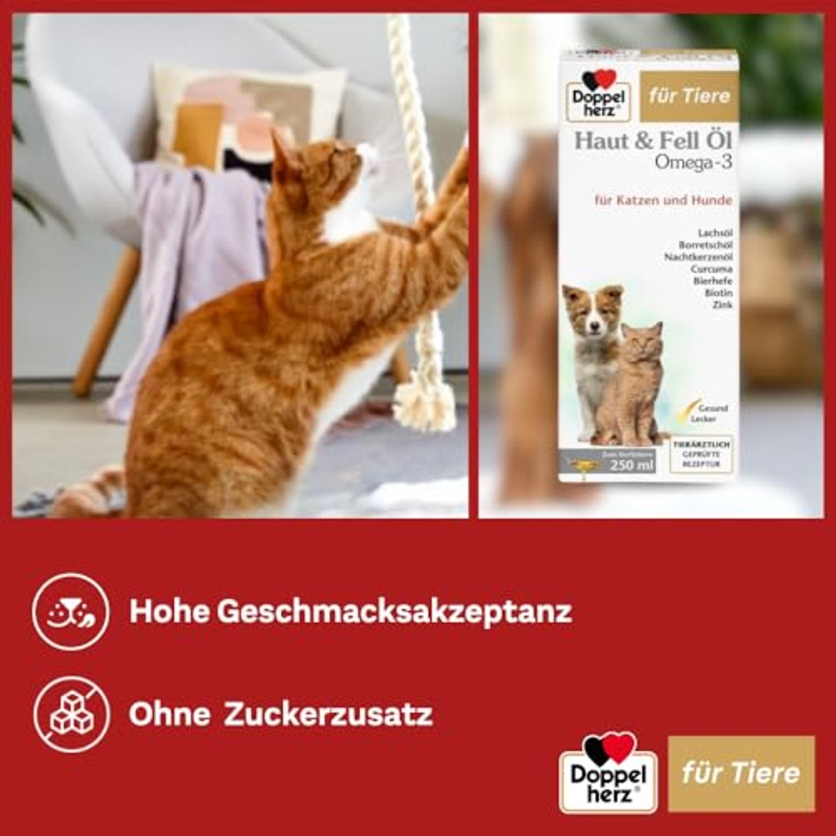 Doppelherz Huid- en Vachtolie voor Katten en Honden 250 ml - 6-pack