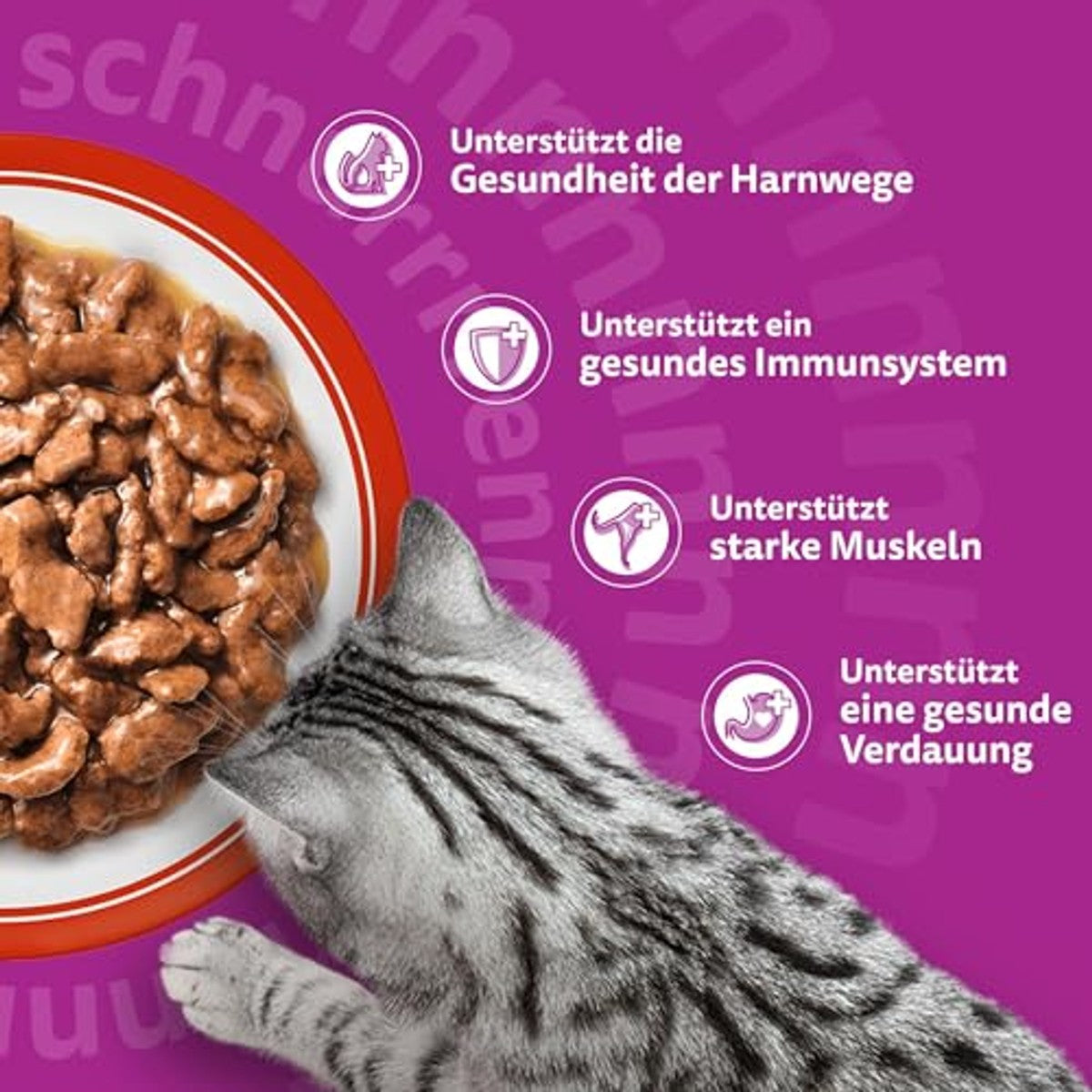 Whiskas 7+ Kattenvoer, klassieke keuze in saus, 12 x 85 g (4 verpakkingen) – hoogwaardig nat voer vanaf 7 jaar in 48 portiezakjes – whiskas