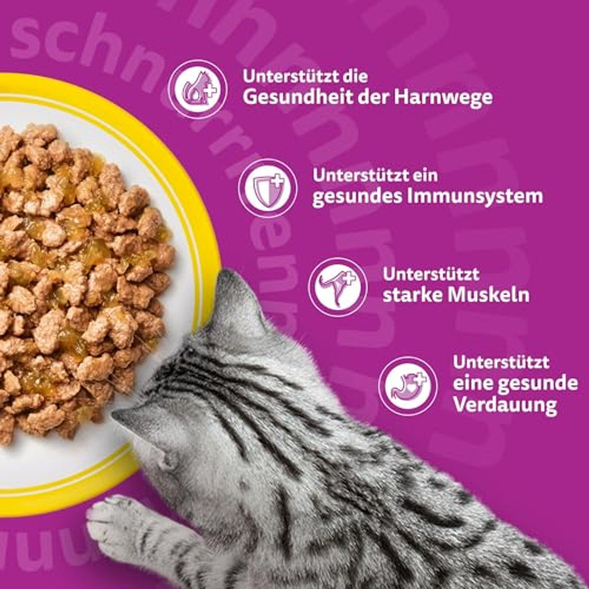 Whiskas Senior 11+ natvoer kattenvoer gevogelte 48 x 85 g - 3-pack