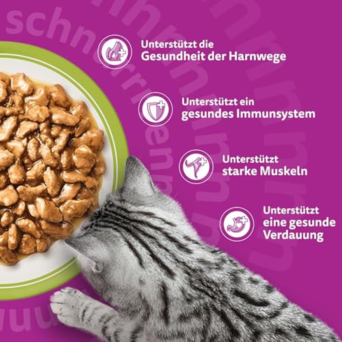 Whiskas Senior 7+ natvoer voor katten, gemengde keuze in saus, 48 portiezakken, 12 x 85 g (verpakking van 4 stuks), hoogwaardig nat kattenvoer, voor katten vanaf 7 jaar en ouder – whiskas