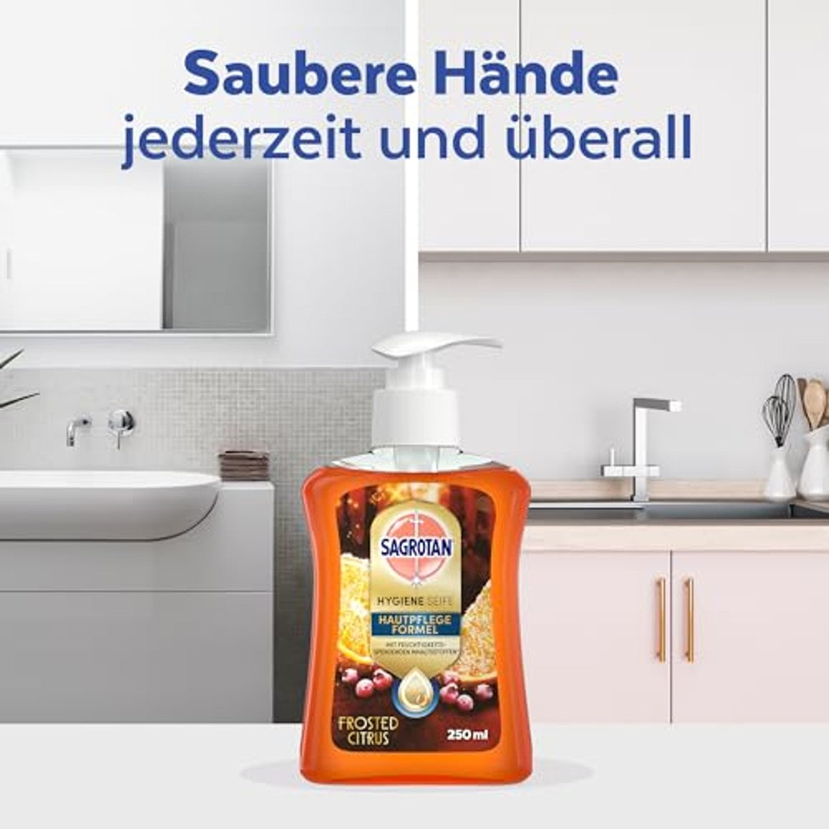 Sagrotan handzeep Frosted Citrus winter editie 6 x 250 ml - 6-pack