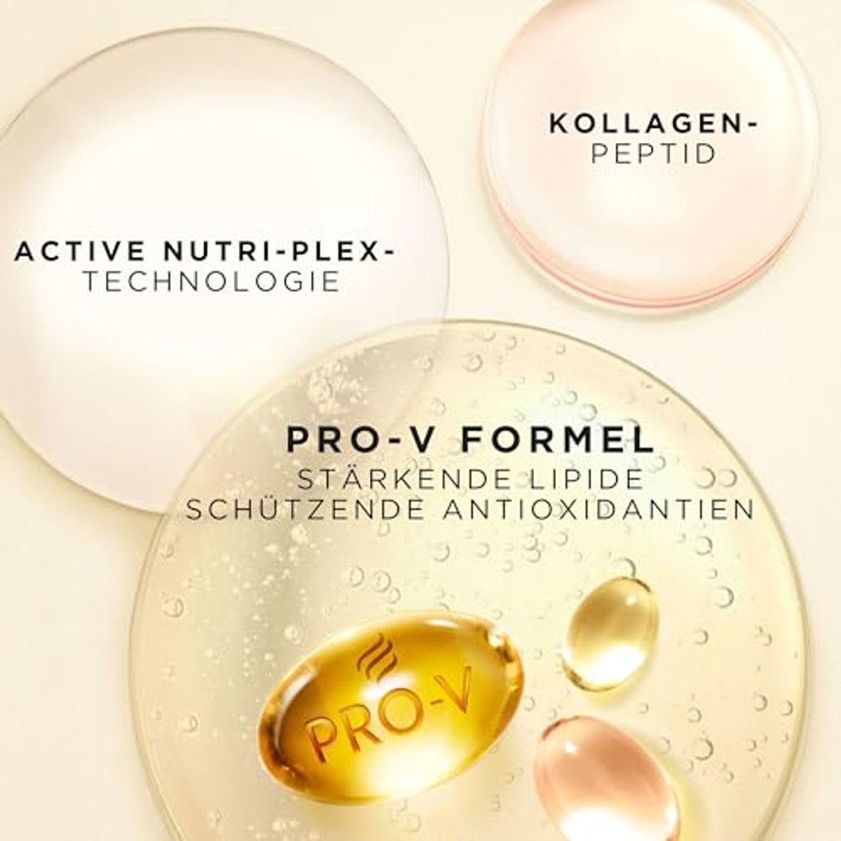 Pantene Pro-V Repair & Care Shampoo 6 x 250 ml - Voordeelverpakking