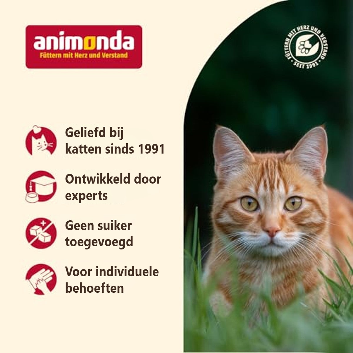 animonda Carny Kitten droogvoer kat kip 1,75 kg – foto 6