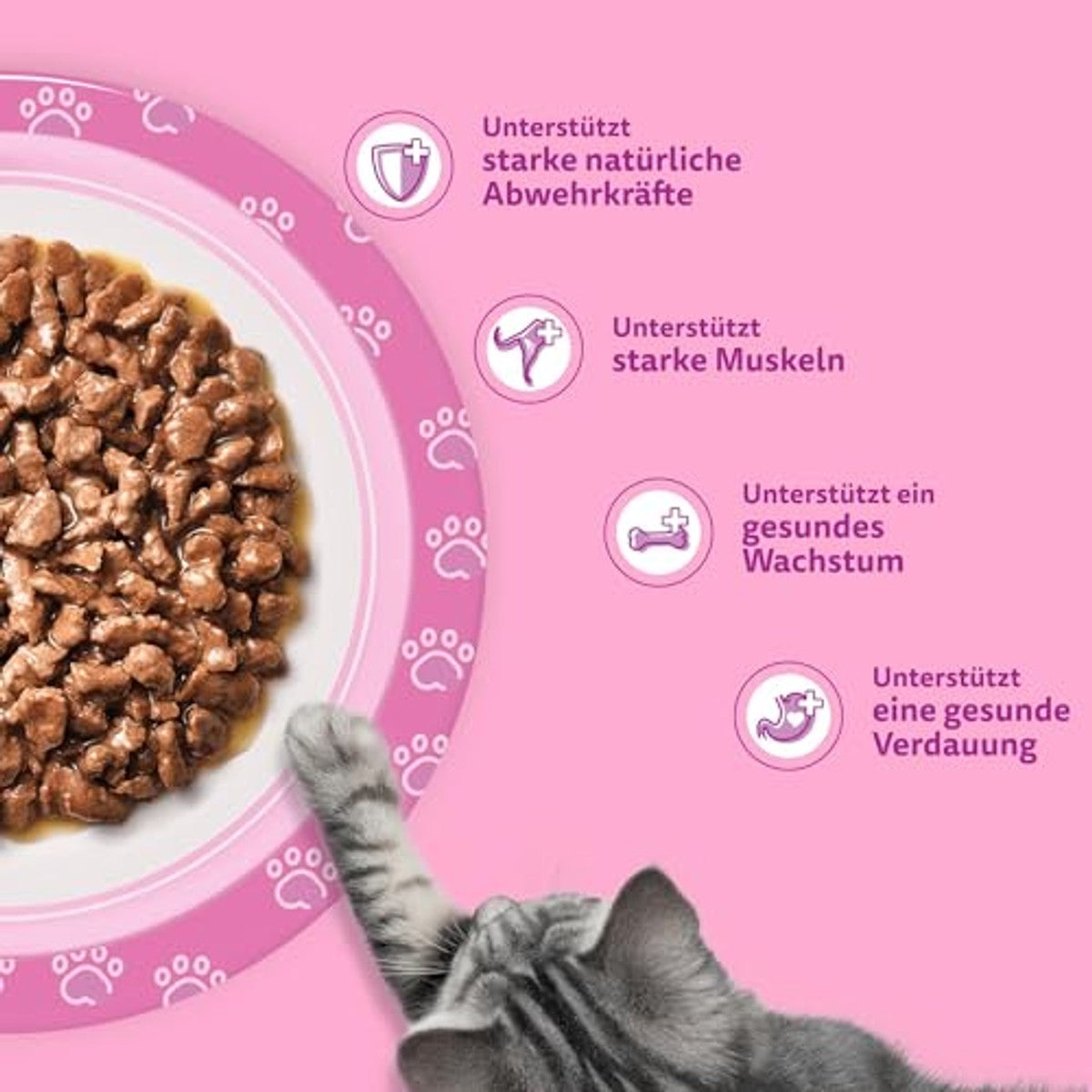 Whiskas Junior natvoer kattenvoer klassieke selectie 84 x 85 g - 3-pack
