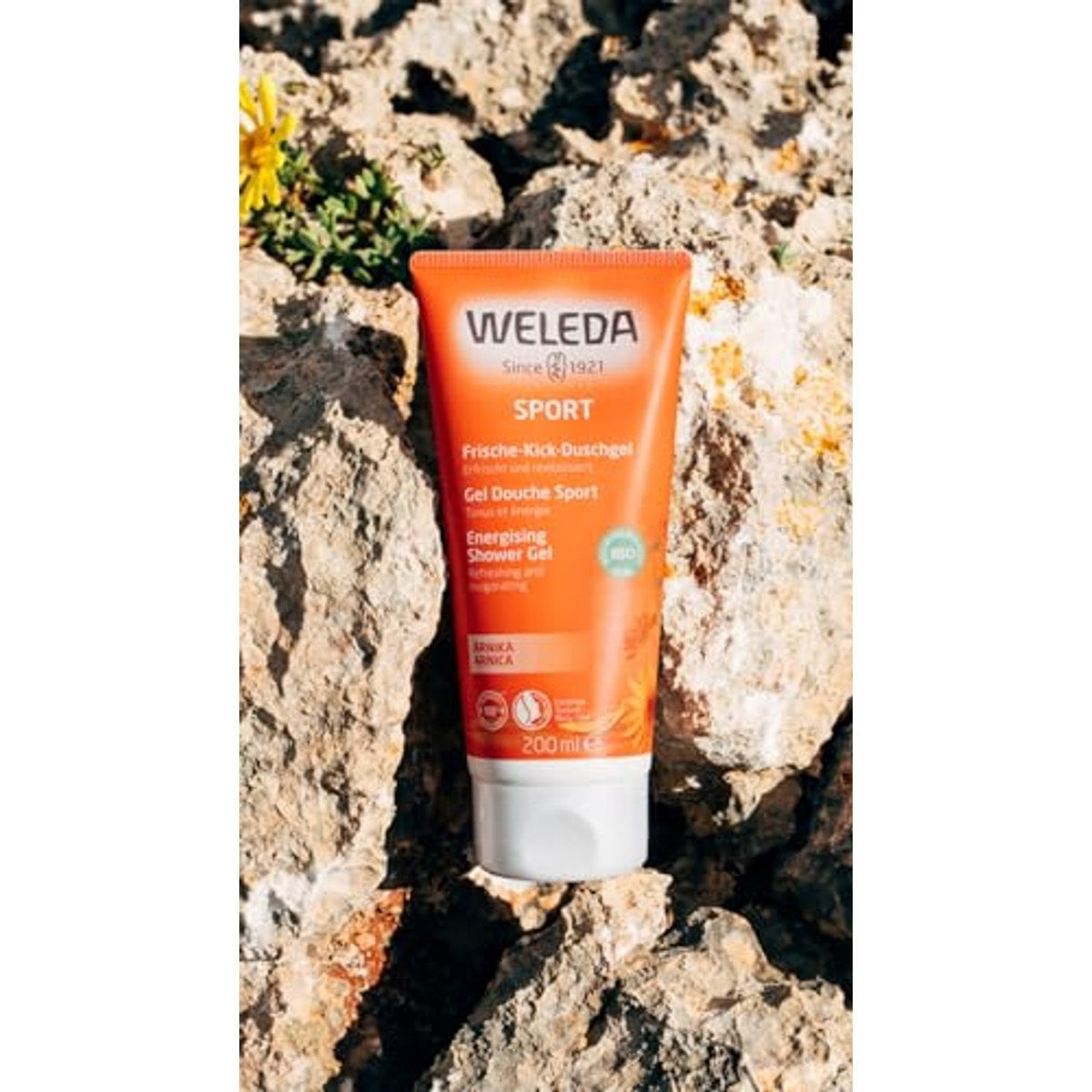 Weleda Bio Sport Douchegel met Rozemarijn-Lavendelgeur 200 ml - 6-pack