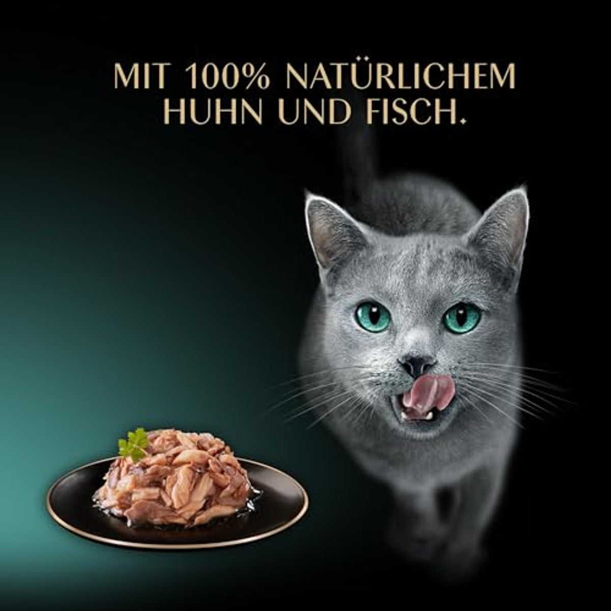 Sheba Filets natvoer kattenvoer kip, tonijn, witte vis, gevogelte en zalm 36 x 60 g - 6-pack