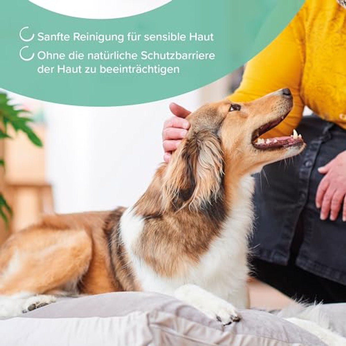 Beaphar hypoallergene shampoo voor honden en katten, 250 ml – beaphar