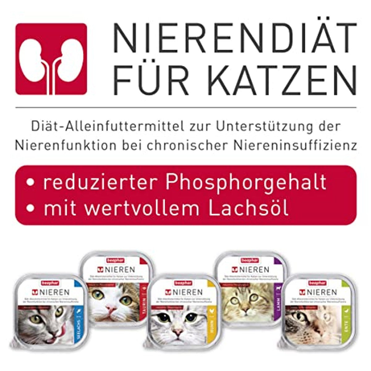 BEAPHAR – Nierdieet Lamm – Dieet alleen voer voor katten met chronisch nierfalen – ter ondersteuning van de nierfunctie – 100 g – beaphar