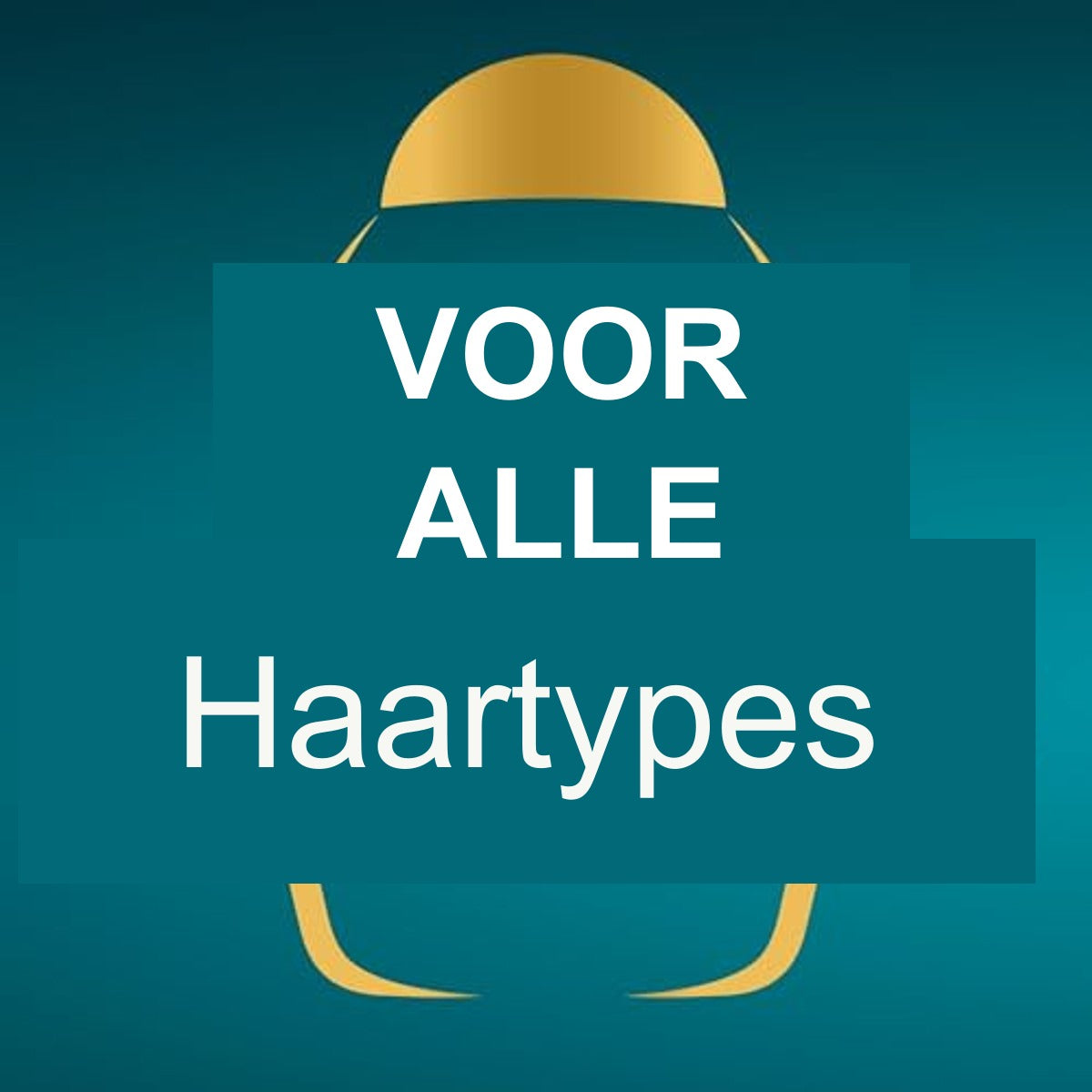 OGX Arganolie van Marokko Conditioner, 385 ml | Regenererende haarspoeling, herstelt beschadigd haar zichtbaar al na het eerste gebruik, spoeling met arganolie