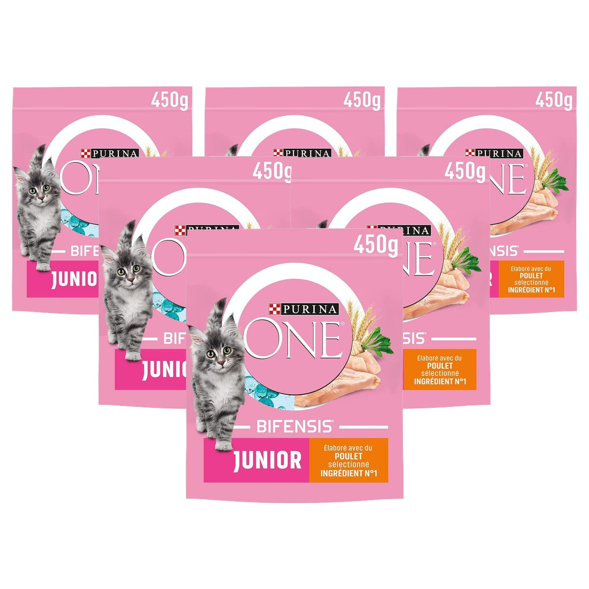 Purina One Bifensis Junior droogvoer kat kip en granen 800 g - 6-pack