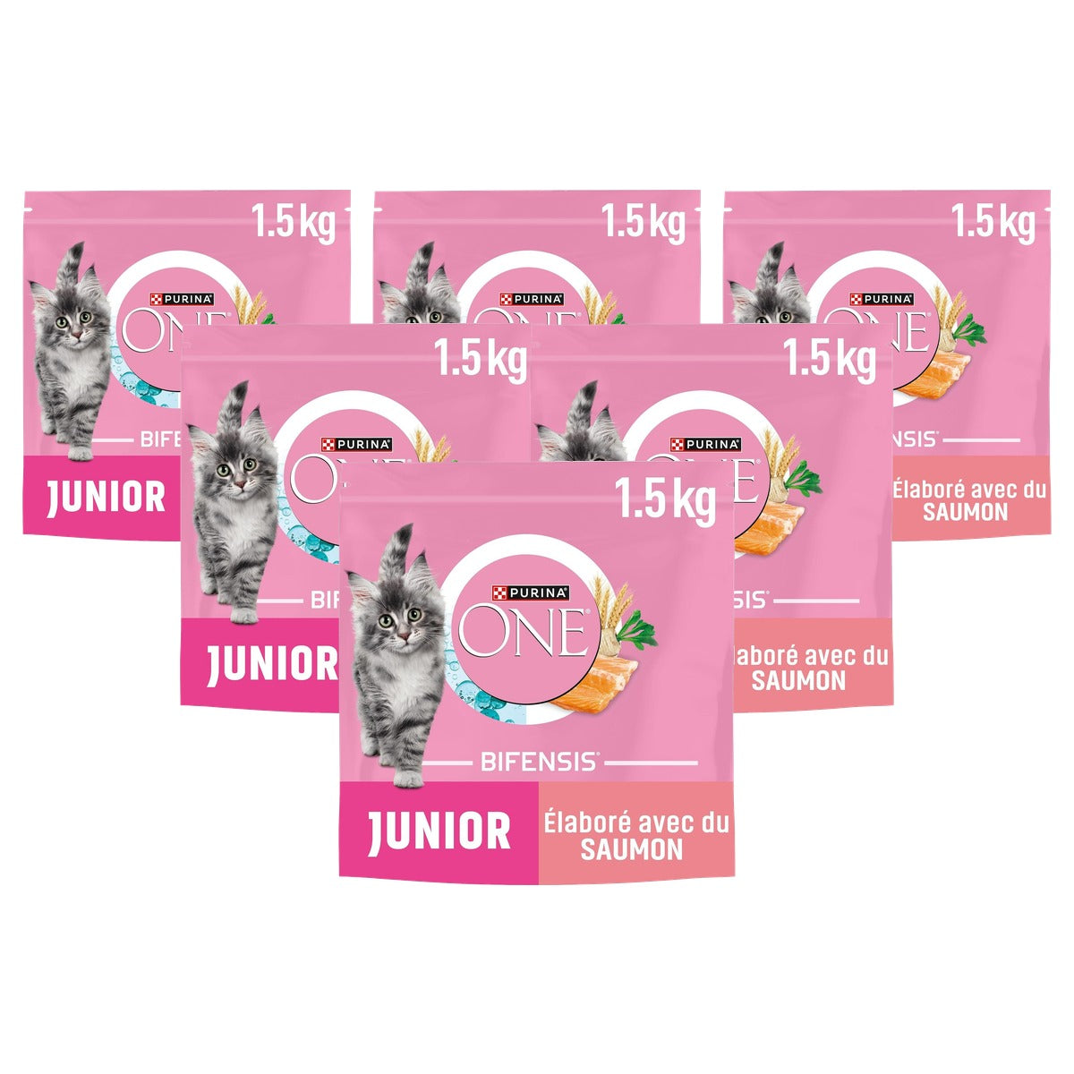 Purina One Bifensis Kitten droogvoer kat zalm 1 x 1,5 kg - 6-pack