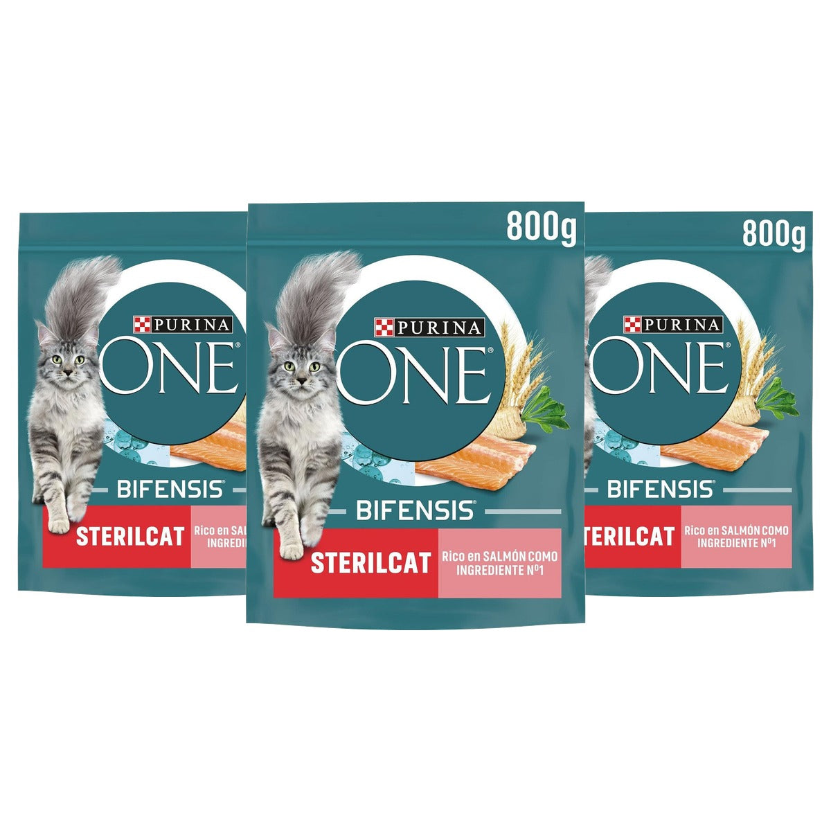 Purina One Bifensis Sterilcat droogvoer kat zalm 8 x 800 g - 3-pack