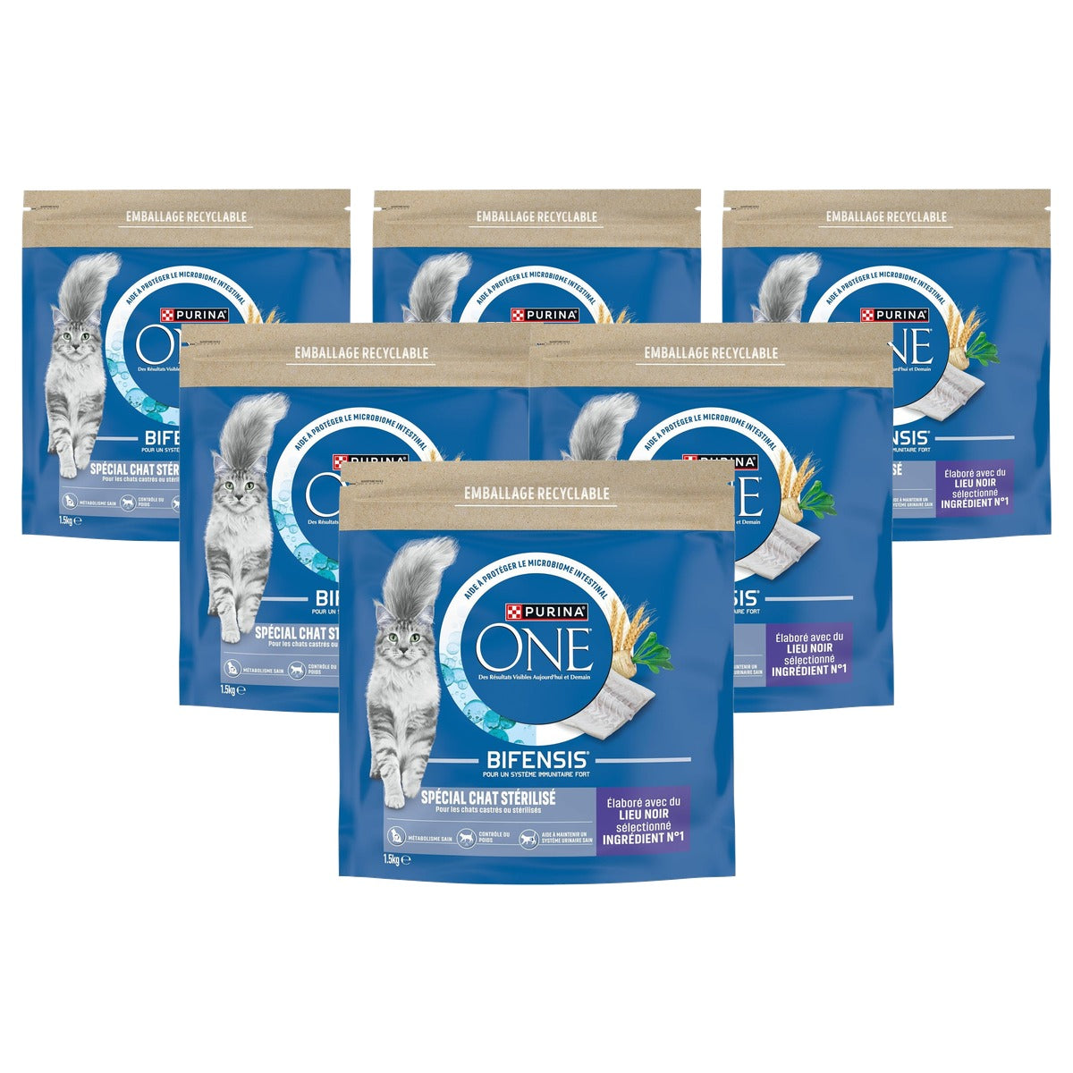 PURINA ONE Speciaal Gesteriliseerd droogvoer kat zwarte ruimte 1,5 kg - 6-pack