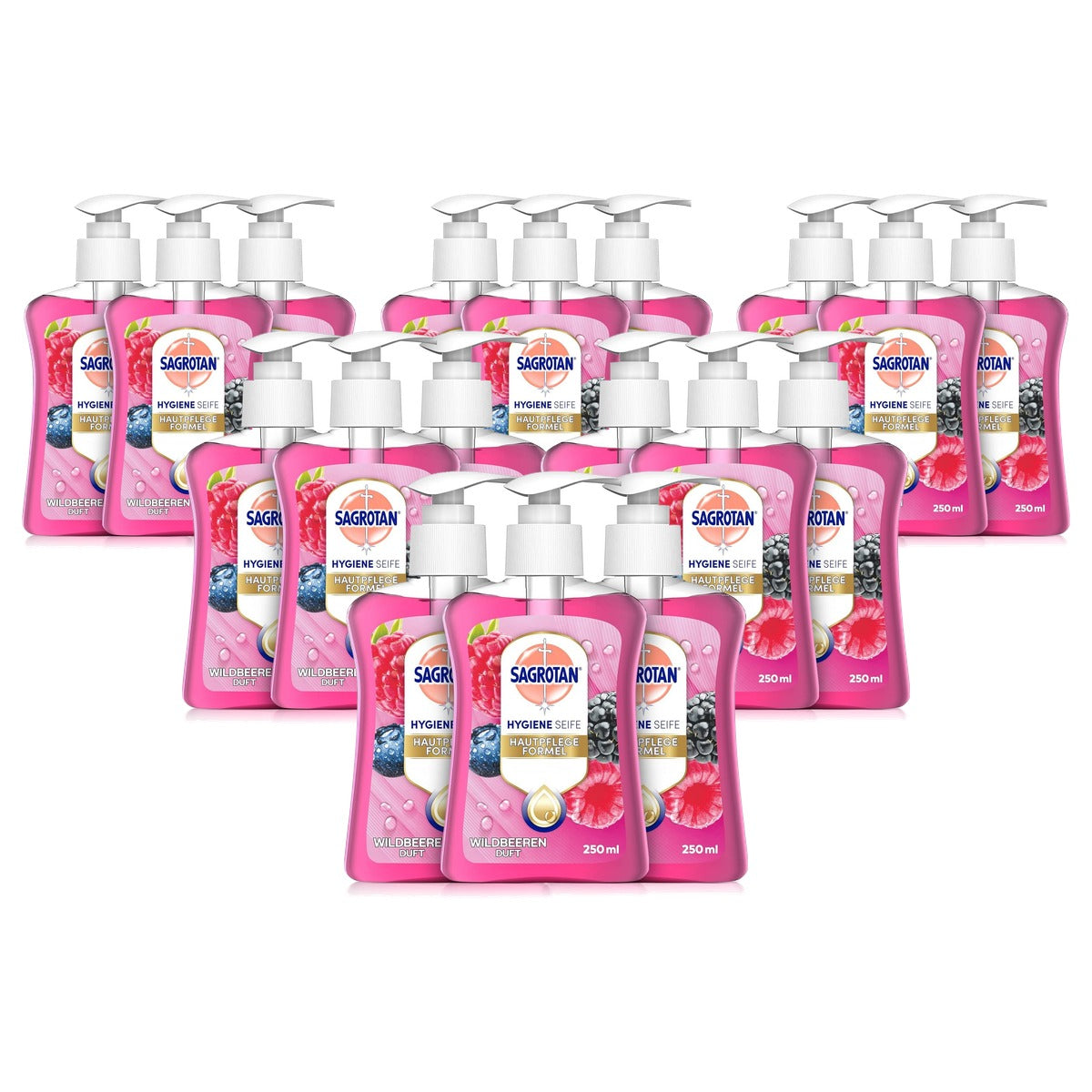 Sagrotan handzeep braambes en bosvruchten 3 x 250 ml - 6-pack