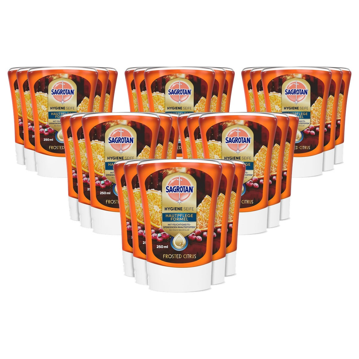 Sagrotan handzeep Frosted Citrus limited edition 5 x 250 ml - 6-pack