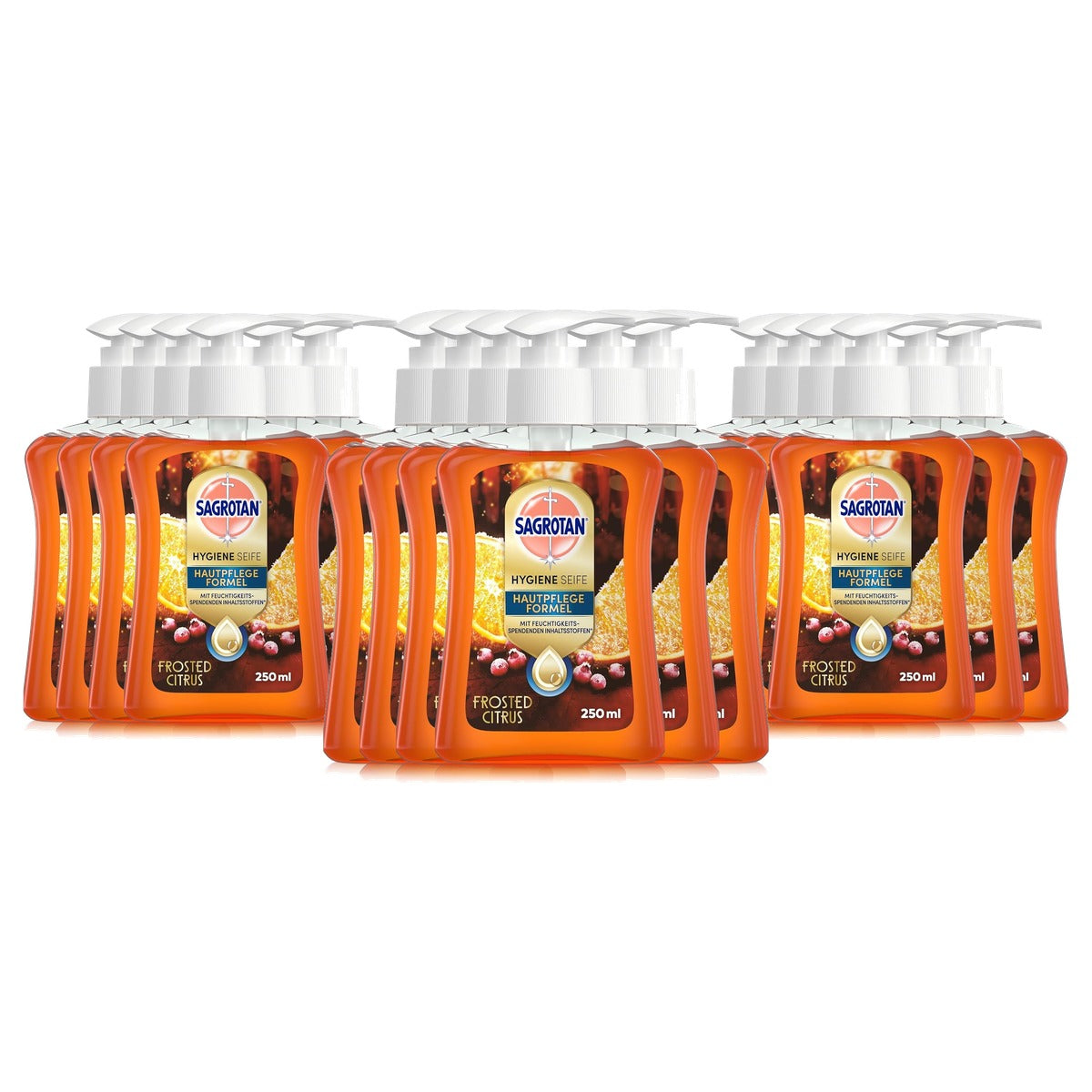 Sagrotan handzeep Frosted Citrus winter editie 6 x 250 ml - 3-pack