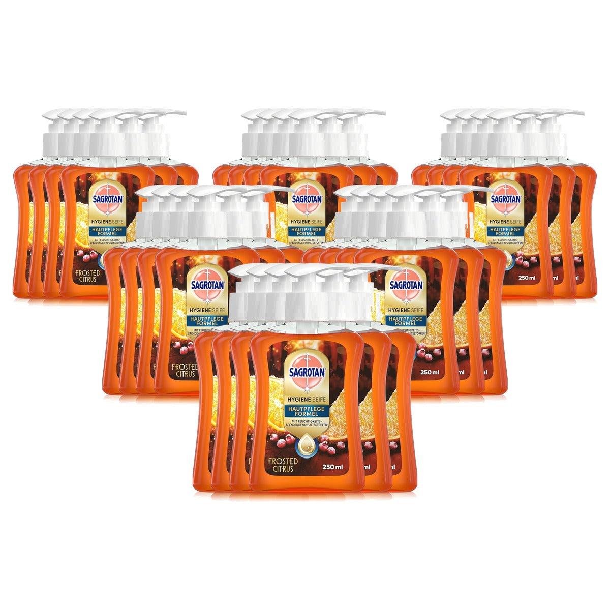 Sagrotan handzeep Frosted Citrus winter editie 6 x 250 ml - 6-pack