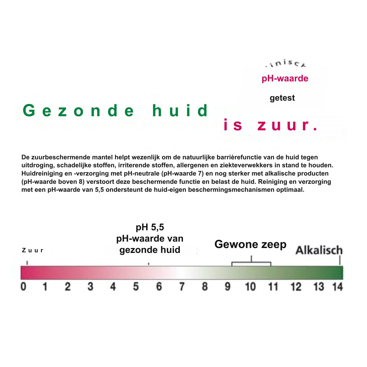 Sebamed Anti-roos shampoo 400 ml, tot 95% minder roos na slechts 4 weken, voor normaal haar, geschikt voor dagelijks wassen van het haar, roosshampoo voor mannen en vrouwen