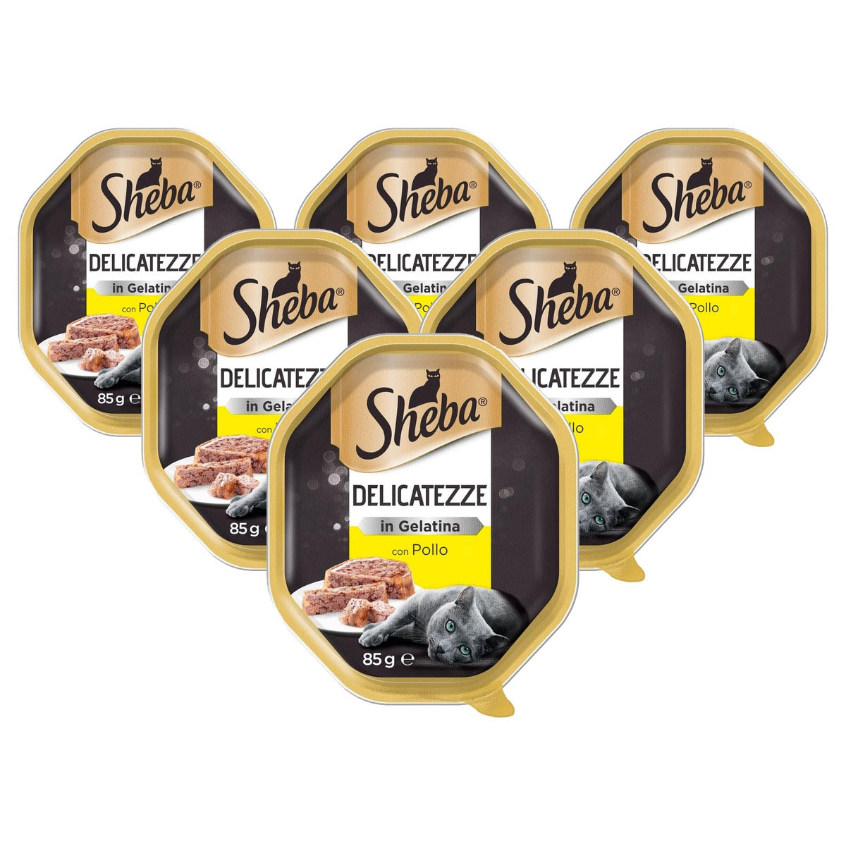 Sheba Delicatezze in Gelei Trancetti natvoer kattenvoer kip 22 x 85 g - 6-pack