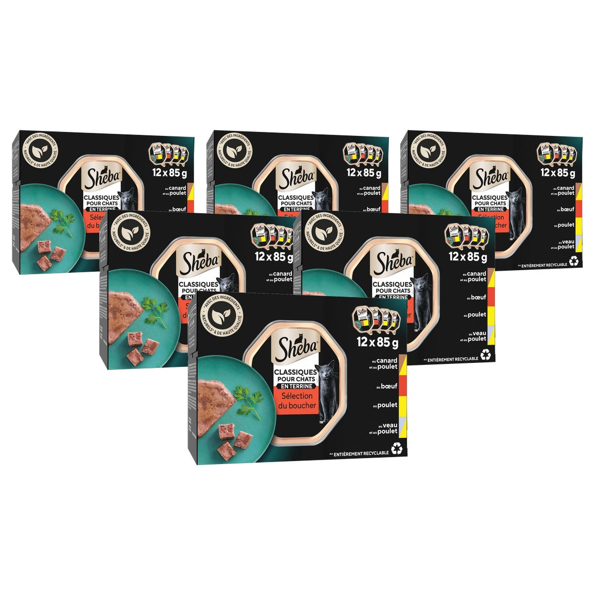 Sheba Klassieke Terrine natvoer kattenvoer 4 soorten 12 x 85 g - 6-pack