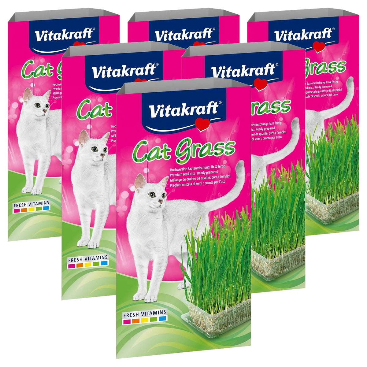 Vitakraft Cat Grass kattengras 1 x 120 g - 6-pack