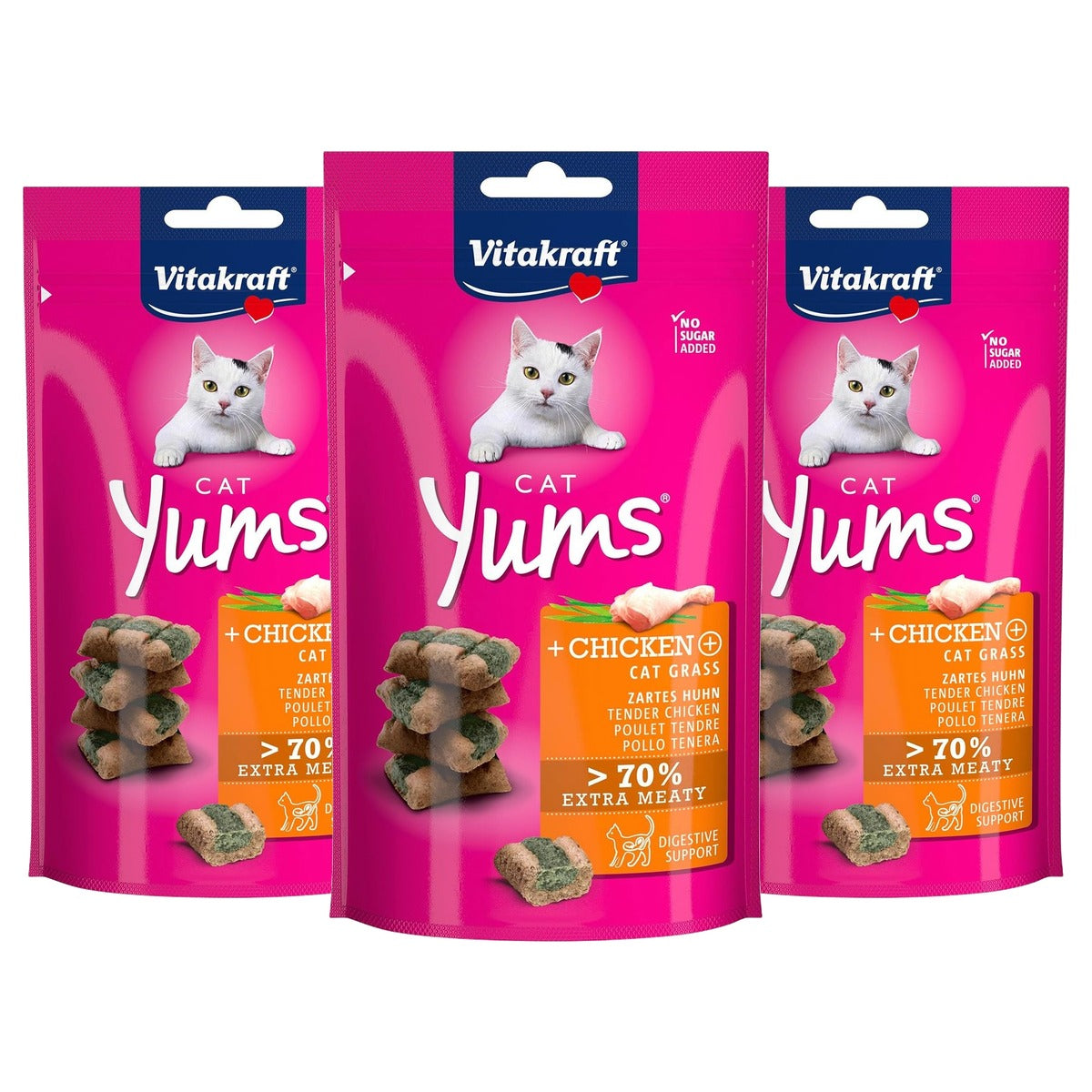 Vitakraft Cat Yums kattensnack kip en kattengras 1 x 40 g - 3-pack