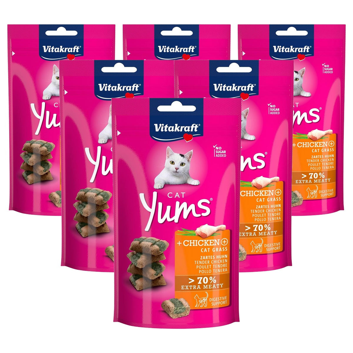 Vitakraft Cat Yums kattensnack kip en kattengras 1 x 40 g - 6-pack