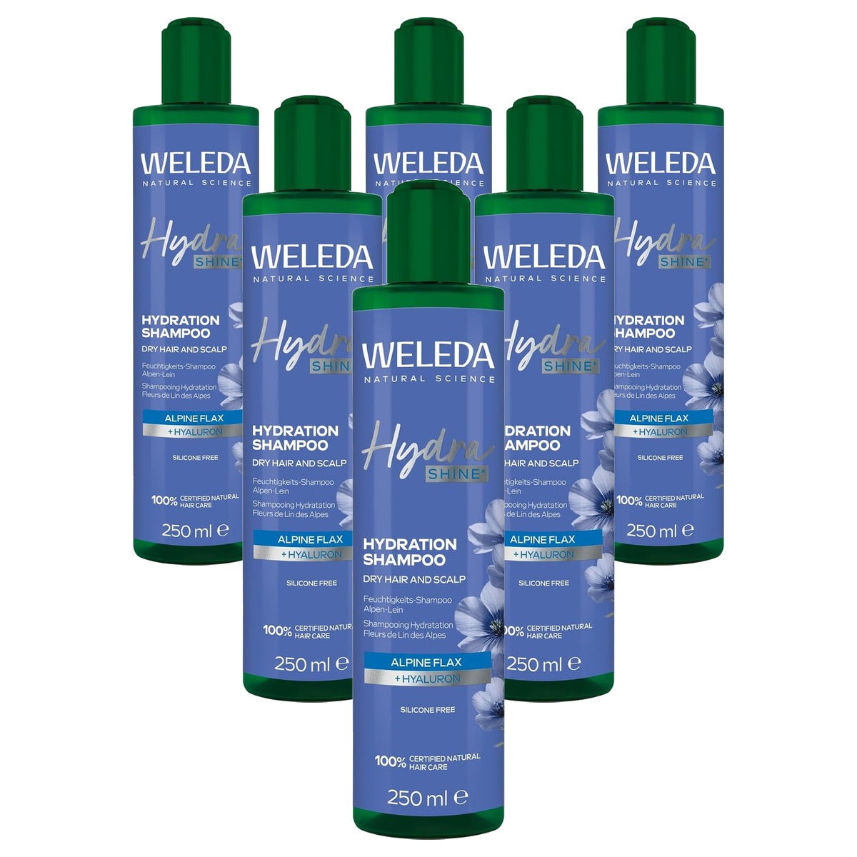 Weleda Bio Hydra Shine Vochtshampoo Droog Haar 250 ml - 6-pack